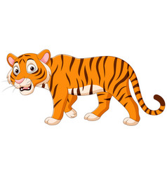 Cartoon funny tiger sleeping on white background Vector Image