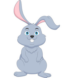 Cute Rabbit Cartoon