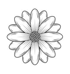 Flower Icon Isolated