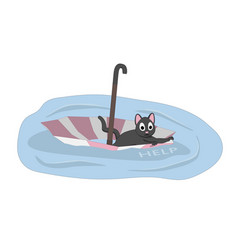 A Cat Is Floating On An Umbrella