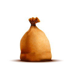 Bright Old Brown Bag With Texture Isolated