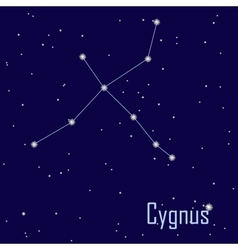 Constellation Cygnus Star In The Night Sky