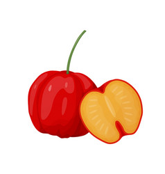 Red Acerola Berry Barbados Cherry