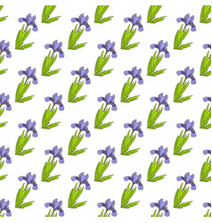 Seamless Pattern With Dwarf Lake Iris