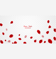 Gorgeous Red Rose Petals Background Virtual