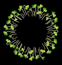 Microgreens Pak Choi Arranged In A Circle White