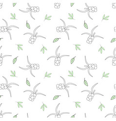 Seamless Pattern Sea Buckthorn Berry In Doodle