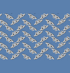 Pattern Of The Butterfly On Blue Color Background