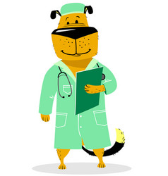 Dog In Costume Of Doctor Pet As A Vet