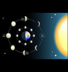 Lunar Phase Moon Cycle