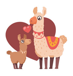 Mother Llama And Son