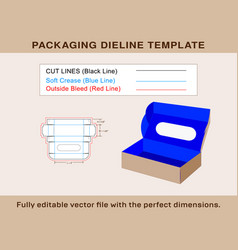 Rectangle Box With Display Dieline Template