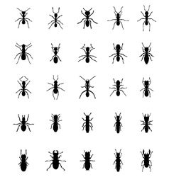 Ant Cartoon Tattoo Vector Images 63