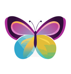 Colorful Butterfly Minimalist And Elegant