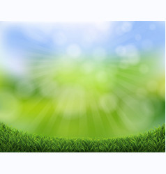 Nature Banner With Grass And Sunburst