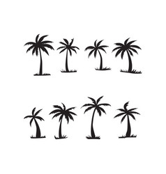 Palm Tree Leaves