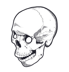 Engraving Style Skull With Open Mouth