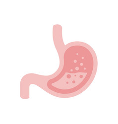 Stomach isolated icon digestive system internal Vector Image