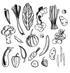 Sketch Vegetables