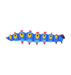 Blue Caterpillar As Larval Stage Of Insect