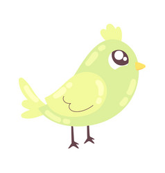 Bird Cute Animal