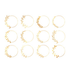 Gold Circle Floral Frames Ornaments Botanical