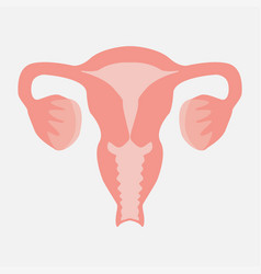 Ovarian Icon On A White Background