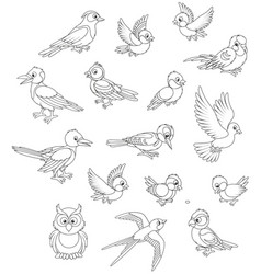 Set Of Birds