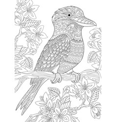 Kookaburra Bird Coloring Page