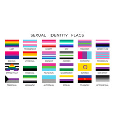 Lgbt Pride Flags Sexual Diversity And Identity