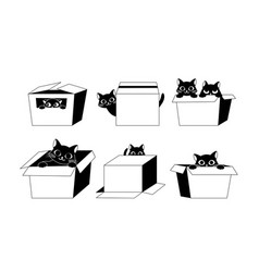 Black Cats With Box Set