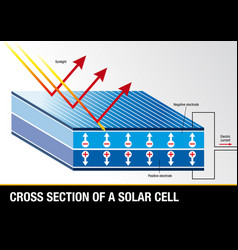 Cross Section Of A Solar Cell