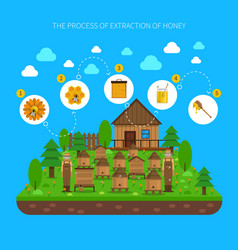 Process Of Honey Extraction Concept