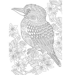 Kookaburra Bird Coloring Page