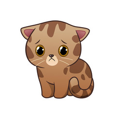 Sad Kawaii Bengal Cat Cartoon Animal