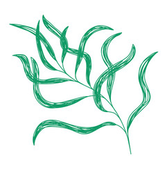 Willow Branch Green Leaf Sketch Hand Drawn