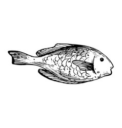 Underwater World Clipart With Fish Graphic