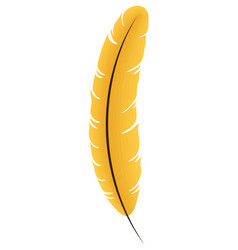 Feather Bird Yellow Color