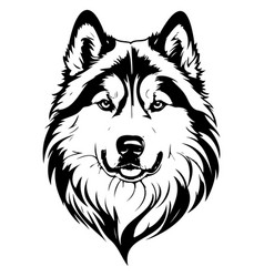 Alaskan Malamute Portrait Black Hand Drawn Animal