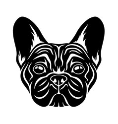 French Bulldog Breed Dog