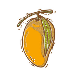 Fresh Mango Sketch Hand Draw Technique Full Color