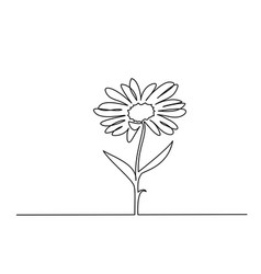 Daisy Flower Sign Continuous One Line Art Drawing