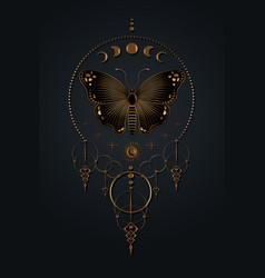 Moon Phases An Butterfly Logo Sacred Geometry