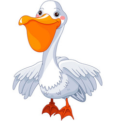 Pelican Baby Vector Images 72