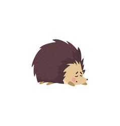 Cute Sleeping Hedgehog Funny Character Flat