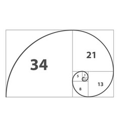 Golden Ratio Spiral Divine Proportion