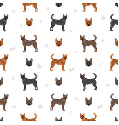 Kai Ken Seamless Pattern Different Poses Coat