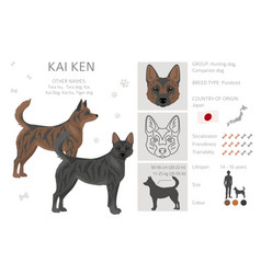 Kai Ken Clipart Different Poses Coat Colors Set