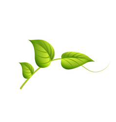 Green Leaf Design