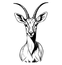 Antelope Portrait Isolated Hand Drawn Animal